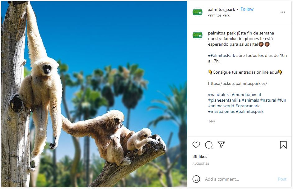 Top 5 amusement parks on Gran Canaria