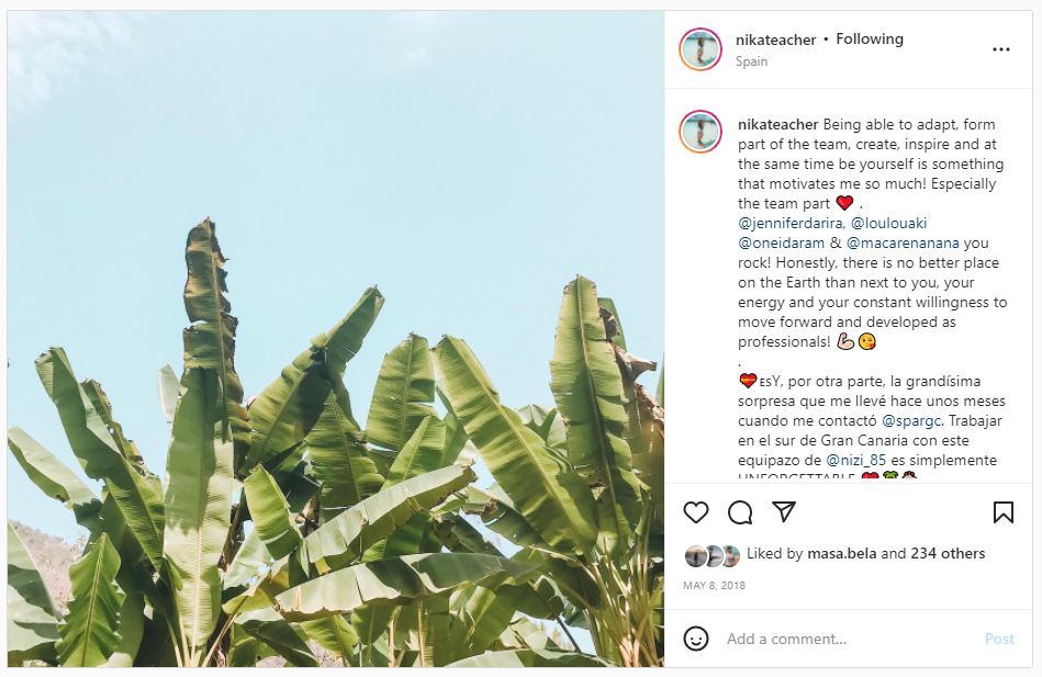 Banana plantations